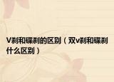 V剎和碟剎的區(qū)別（雙v剎和碟剎什么區(qū)別）