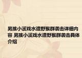 男孩小溪戲水遭野猴群襲擊詳細(xì)內(nèi)容 男孩小溪戲水遭野猴群襲擊具體介紹
