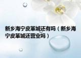 新鄉(xiāng)海寧皮革城還有嗎（新鄉(xiāng)海寧皮革城還營(yíng)業(yè)嗎）
