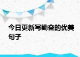 今日更新寫勤奮的優(yōu)美句子