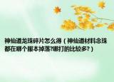 神仙道龍珠碎片怎么得（神仙道材料念珠都在哪個(gè)服本掉落?哪打的比較多?）