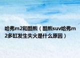 哈弗m2和酷熊（酷熊suv哈弗m2多缸發(fā)生失火是什么原因）