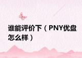 誰能評價下（PNY優(yōu)盤怎么樣）