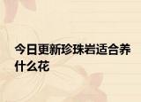 今日更新珍珠巖適合養(yǎng)什么花