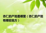 杏仁的產(chǎn)地是哪里（杏仁的產(chǎn)地有哪些地方）