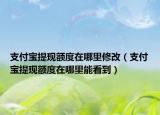 支付寶提現額度在哪里修改（支付寶提現額度在哪里能看到）