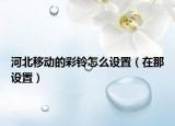 河北移動的彩鈴怎么設(shè)置（在那設(shè)置）