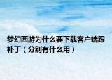 夢幻西游為什么要下載客戶端跟補(bǔ)?。ǚ謩e有什么用）