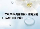 一年級2014湖南衛(wèi)視（湖南衛(wèi)視(一年級)共多少期）