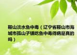 鞍山淡水魚(yú)中毒（遼寧省鞍山市海城市孤山子鎮(zhèn)吃魚(yú)中毒得病是真的嗎）