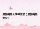 法國梅斯大學(xué)實驗室（法國梅斯大學(xué)）
