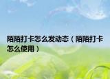 陌陌打卡怎么發(fā)動態(tài)（陌陌打卡怎么使用）