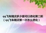 qq飛車精靈多少級可以進(jìn)化第二階（qq飛車精靈第一次怎么進(jìn)化）