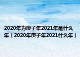 2020年為庚子年2021年是什么年（2020年庚子年2021什么年）