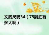 文胸尺碼34（75到底有多大啊）