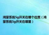 鴻蒙系統(tǒng)5g開關在哪個位置（鴻蒙系統(tǒng)5g開關在哪里）