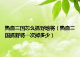 熱血三國怎么抓野地將（熱血三國抓野將一次掉多少）