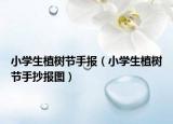 小學(xué)生植樹節(jié)手報(bào)（小學(xué)生植樹節(jié)手抄報(bào)圖）
