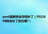 pes6最新轉(zhuǎn)會(huì)存檔補(bǔ)丁（PES2008轉(zhuǎn)會(huì)補(bǔ)丁放在哪?）