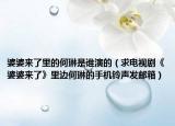 婆婆來了里的何琳是誰演的（求電視劇《婆婆來了》里邊何琳的手機鈴聲發(fā)郵箱）