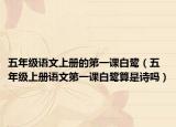 五年級語文上冊的第一課白鷺（五年級上冊語文第一課白鷺算是詩嗎）