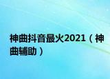 神曲抖音最火2021（神曲輔助）