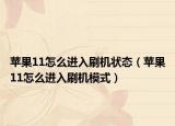 蘋果11怎么進(jìn)入刷機(jī)狀態(tài)（蘋果11怎么進(jìn)入刷機(jī)模式）