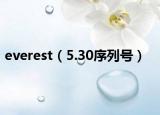 everest（5.30序列號）