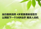 當(dāng)日最新消息 4歲男童遇害背后怎么預(yù)防下一個(gè)16歲兇手 揭殺人動(dòng)機(jī)