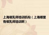 上海催乳師培訓(xùn)機(jī)構(gòu)（上海哪里有催乳師培訓(xùn)啊）