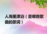人海里漂泊（是哪首歌曲的歌詞）