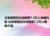 公安部百日行動(dòng)抓獲7.2萬(wàn)人詳細(xì)內(nèi)容 公安部百日行動(dòng)抓獲7.2萬(wàn)人具體介紹