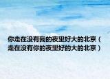 你走在沒有我的夜里好大的北京（走在沒有你的夜里好的大的北京）