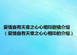 愛情自有天意之心心相印劇情介紹（愛情自有天意之心心相印的介紹）