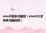 vivo不能多點(diǎn)觸控（vivoX21支持多點(diǎn)觸控嗎）