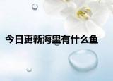 今日更新海里有什么魚(yú)