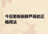今日更新新鮮蘆薈的正確用法