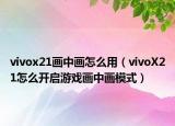 vivox21畫(huà)中畫(huà)怎么用（vivoX21怎么開(kāi)啟游戲畫(huà)中畫(huà)模式）