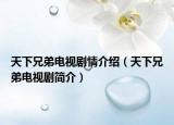 天下兄弟電視劇情介紹（天下兄弟電視劇簡(jiǎn)介）