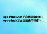 oppofindx怎么把應(yīng)用隱藏起來（oppofindx怎么隱藏應(yīng)用程序）