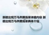 新疆出現(xiàn)萬馬奔騰場(chǎng)景詳細(xì)內(nèi)容 新疆出現(xiàn)萬馬奔騰場(chǎng)景具體介紹
