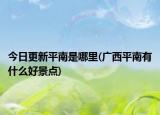 今日更新平南是哪里(廣西平南有什么好景點(diǎn))