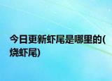 今日更新蝦尾是哪里的(燒蝦尾)