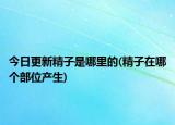 今日更新精子是哪里的(精子在哪個(gè)部位產(chǎn)生)