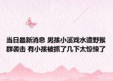當(dāng)日最新消息 男孩小溪戲水遭野猴群襲擊 有小孩被抓了幾下太驚悚了