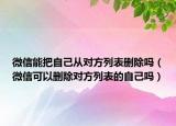 微信能把自己從對方列表刪除嗎（微信可以刪除對方列表的自己嗎）