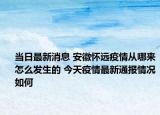當(dāng)日最新消息 安徽懷遠(yuǎn)疫情從哪來怎么發(fā)生的 今天疫情最新通報情況如何