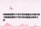 特朗普前妻死于意外受鈍器撞擊詳細(xì)內(nèi)容 特朗普前妻死于意外受鈍器撞擊具體介紹