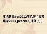 實況足球pes2012手機版（實況足球2013_pes2013_球鞋[3]）