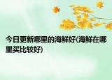 今日更新哪里的海鮮好(海鮮在哪里買比較好)